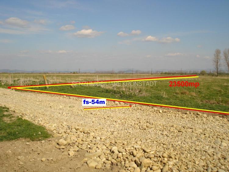 teren in zona de ferme - 4