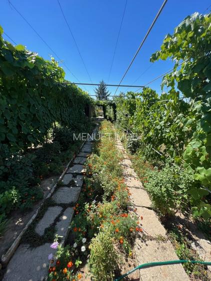 Gospodarie cu Livada, 2900mp, Com Izvoarele - 14