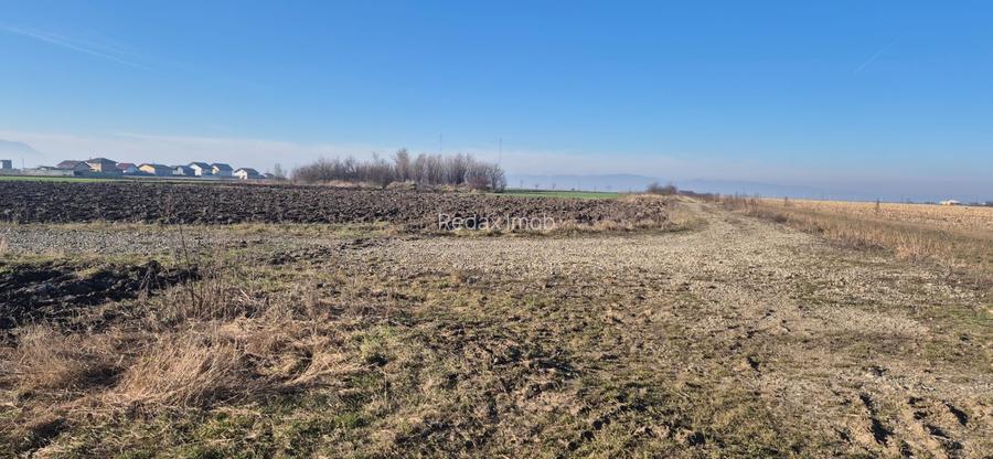 Teren extravilan intrare Bod din Sanpetru pentru investitie sau parcelare - 4