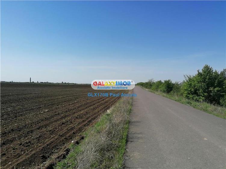 Teren Corbeanca  7900 mp  cartier Romatsa cu drumuri asfaltate - 2
