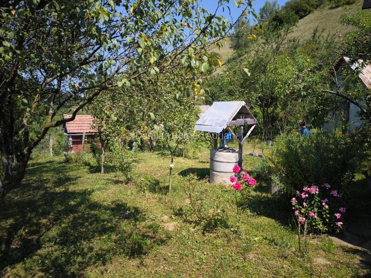 Gradina de vanzare cu constructii pe teren. - 11