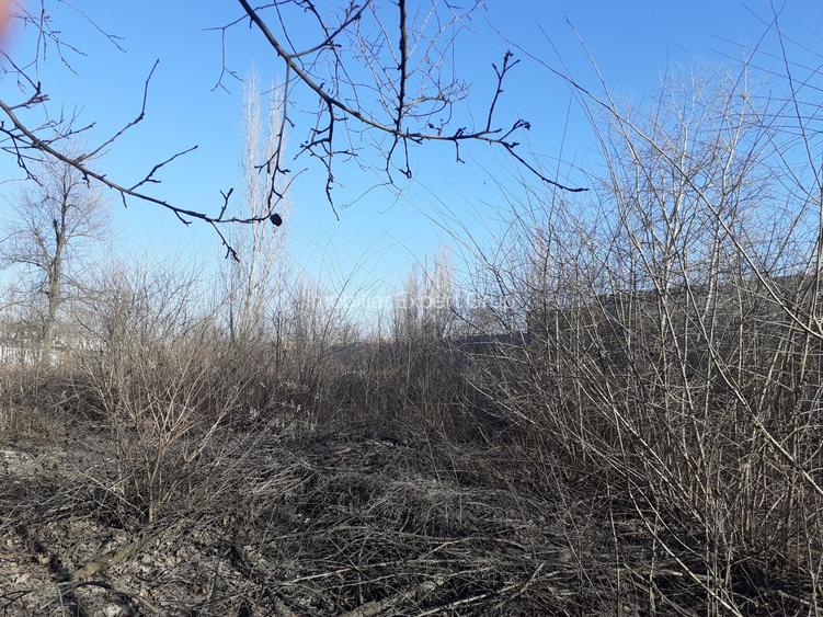 Zona Metrou Costin Georgian  1427 mp, d=60 ml la bulevard - 3