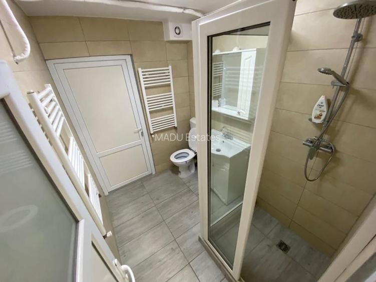 Parcul Carol, apartament in vila, parter, 6 camere, 4 bai, 2 bucatarii, pt birou - 13