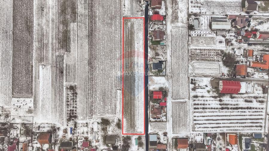 Oportunitate investițională – Teren intravilan 5.646 mp, Stupini - 4