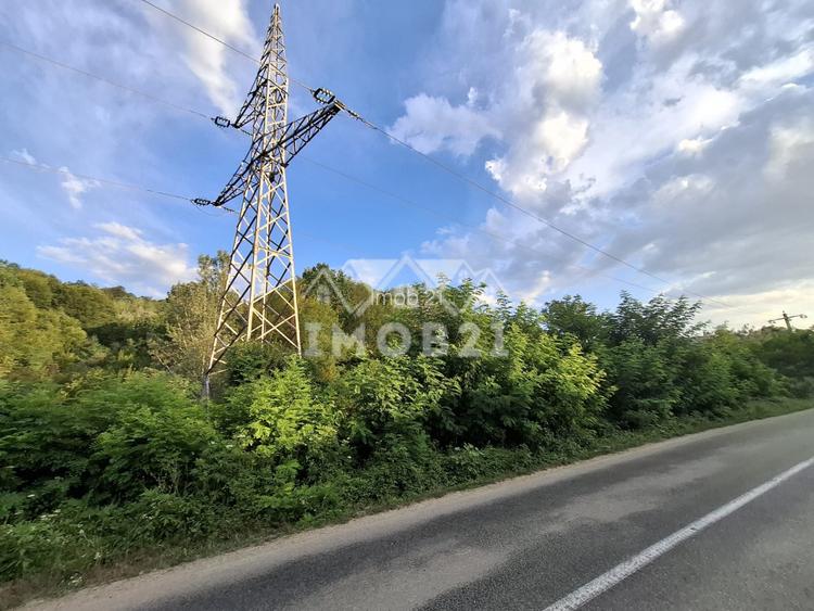 Teren spectaculos cu padure, livada si priveliste panoramica in Soimari PH - 15