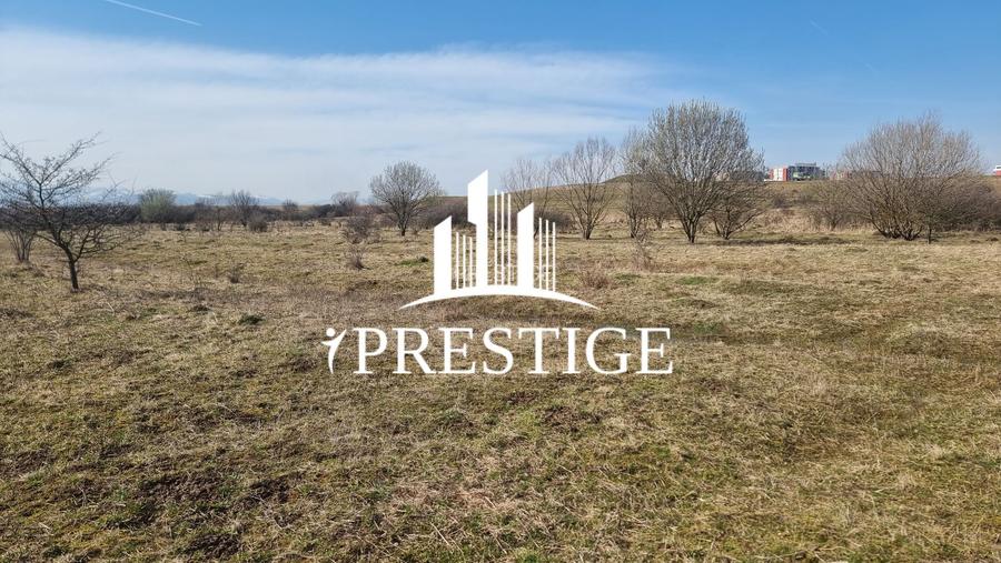 TEREN DE VÂNZARE 1000 MP ȘELIMBĂR ZONA TROIȚĂ | INVESTIȚIE - 10