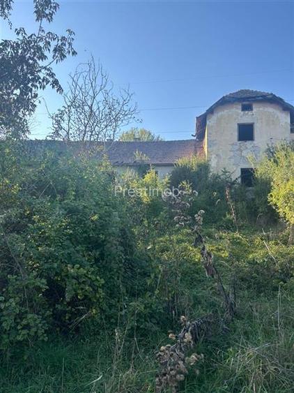 Conac in paragina - 2