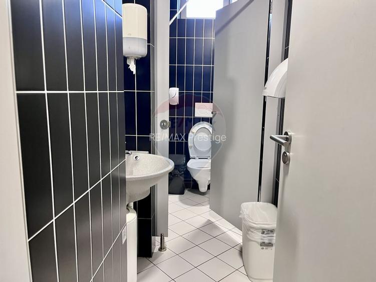 Spațiu de birouri disponibil in Armeneasca - 13