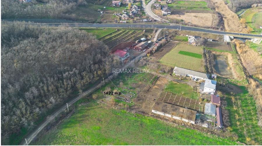 Teren Intrarea Cotul Morii, comuna Victoria Iasi - 5