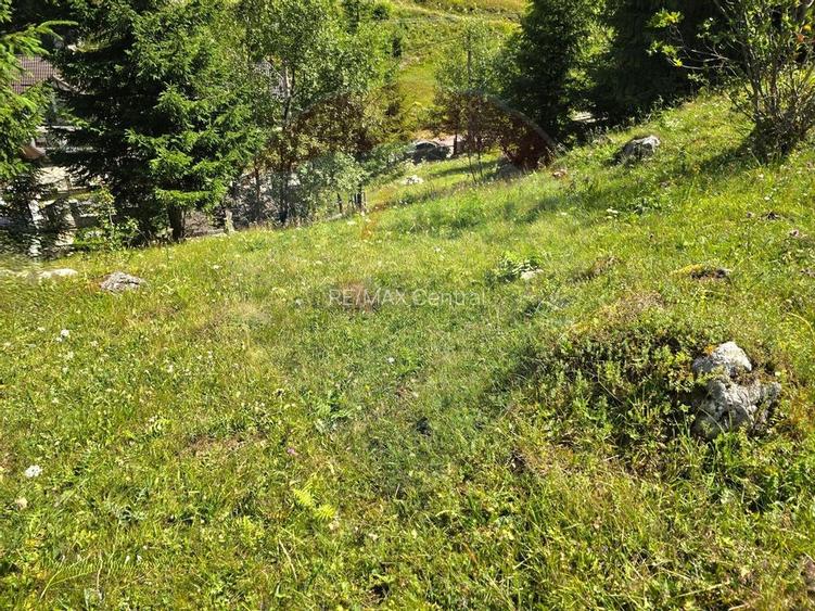Teren de vis în Fundata 1934mp sau 3868mp, la înălțimea sufletului tău - 5