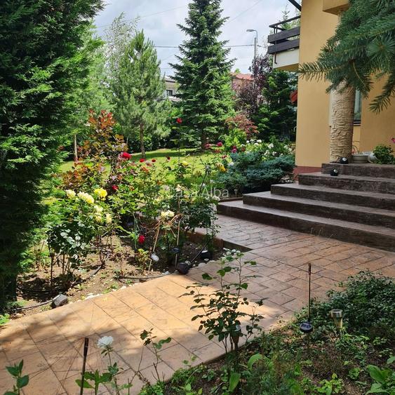 Bucium | locuinta impunatoare | refugiu al linistii si rafinamentului - 3