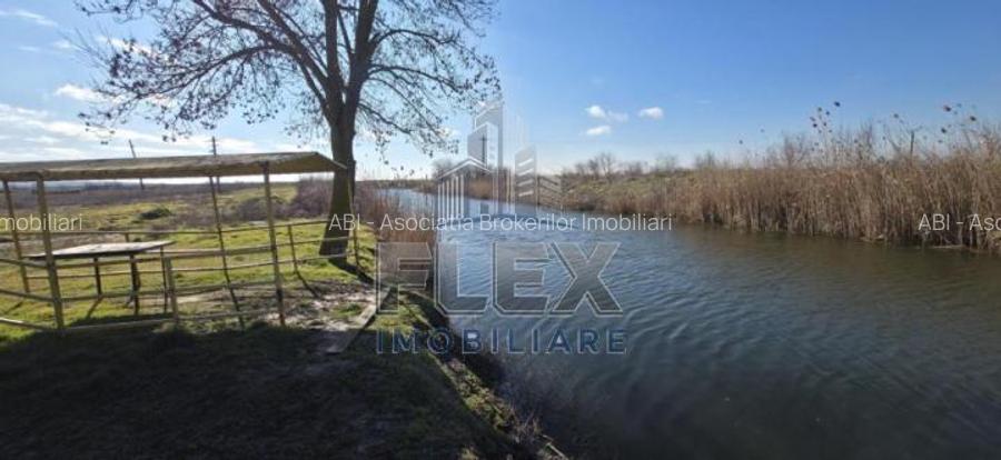 Vanzare Teren Delta Dunarii 3.83 Ha - Oportunitate - 4