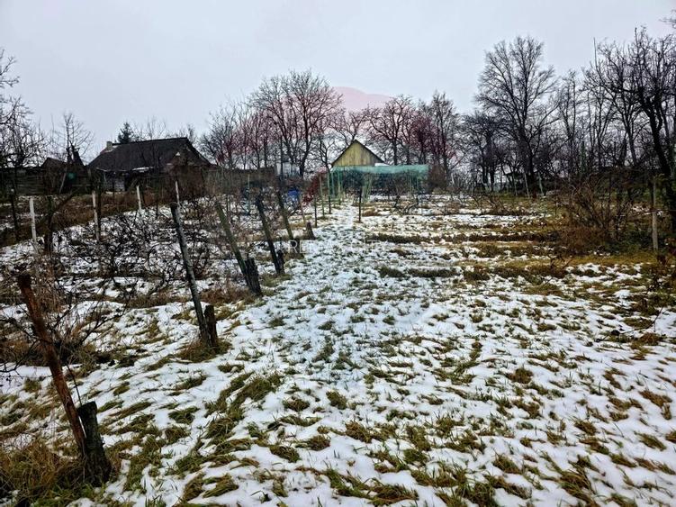 Teren intravilan 4,516mp Doina - 29