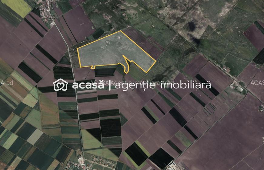 Teren 42 ha pentru parc fotovoltaic – Macea, Arad - 2