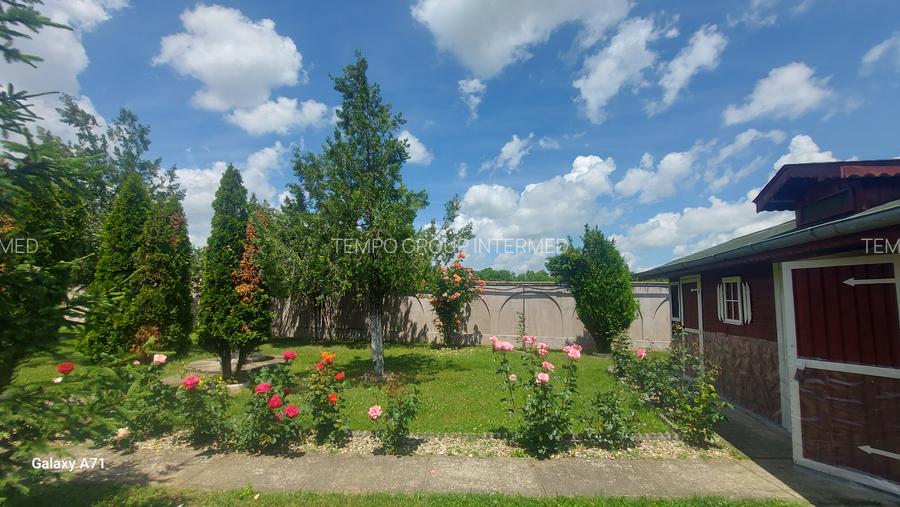 Snagov- Gruiu- Santul Floresti -Proprietate cu stil pentru oameni gospodari! - 41