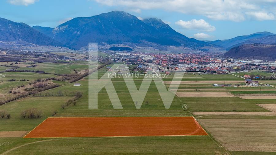 Teren intravilan – Zarnești, Zona Penny | 25 Euro/ mp - 9