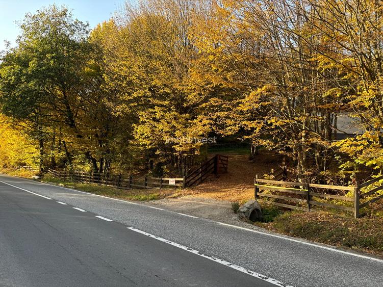 Vand cabana deosebita cu 4 cam. in mijlocul naturii,statiunea Bucin - 10