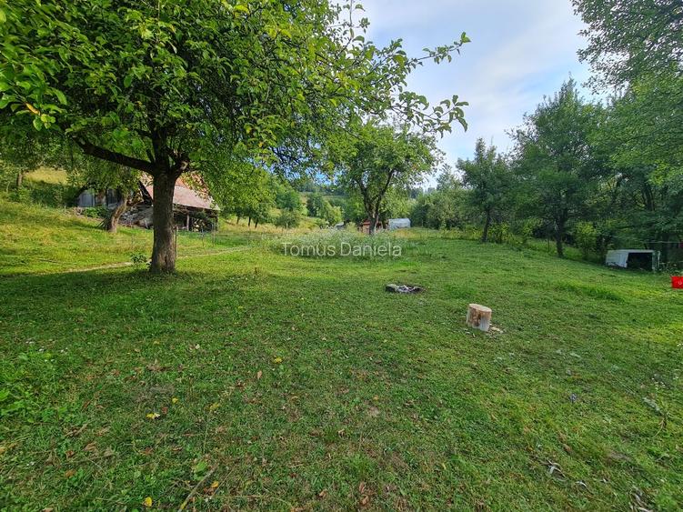 Teren de vânzare cu casă în Apuseni - 9