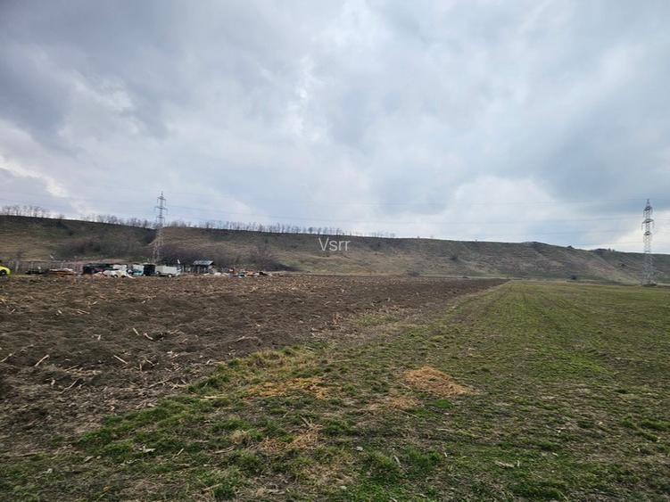 Oportunitate investitie – Teren intravilan in Bacau - 7