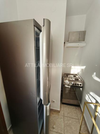 Dumbravita apartament la vila 300 euro - 6