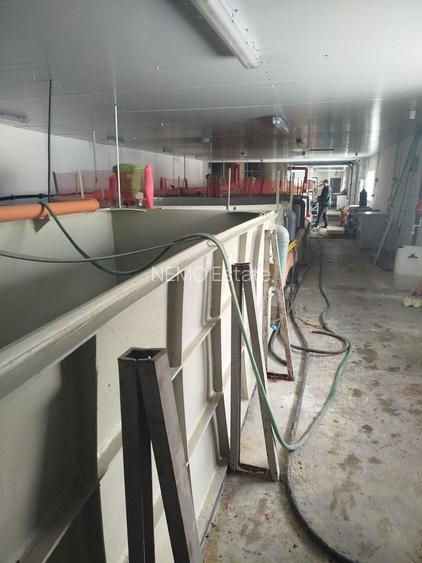 Pensiune + fermă piscicolă (sturion/caviar) | Saru Dornei/Sarisor - 4