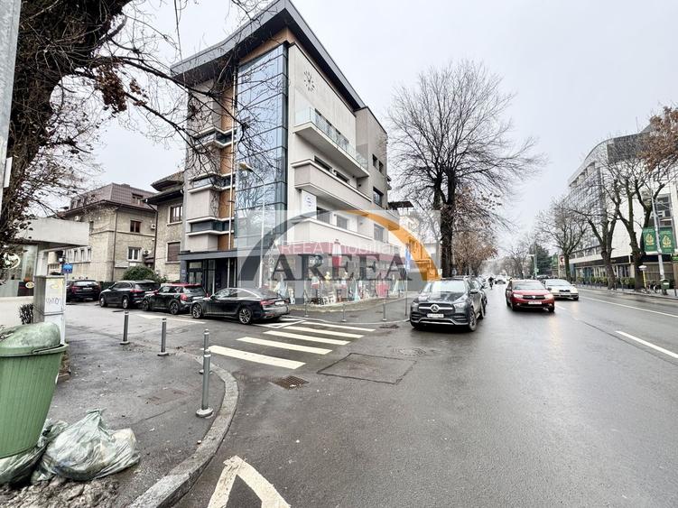Vilă de vanzare Dorobanti-Floreasca–locuit / sediu firmă / comercial - 3