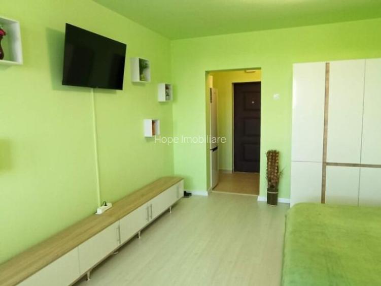 Berceni Turnu Magurele Garsoniera - 3