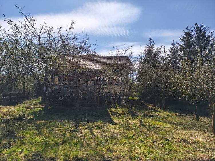 Vand Casa +teren livada 2600m2 - 9