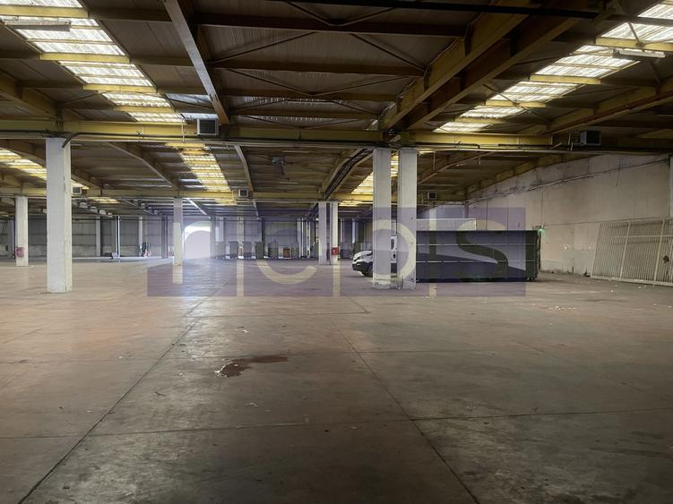 INCHIRIERE HALA | DEPOZIT - OTOPENI CENTURA  |  20.0000 MP - 29