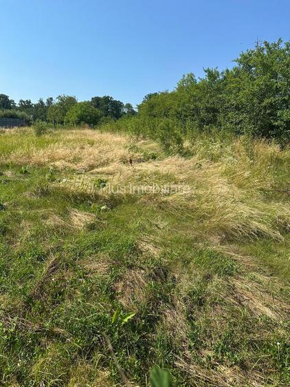 Casă cu teren de 5.700 mp, Pădureni,se accepta si schimb cu apt in Iasi - 19