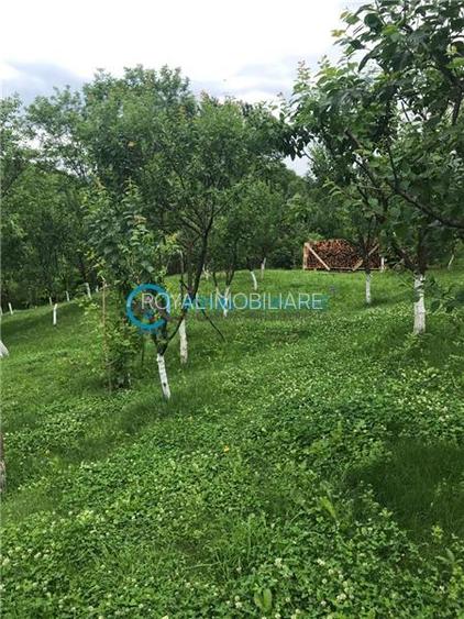 Royal Imobiliare- Vanzare Casa de Vacanta Teisani - 7