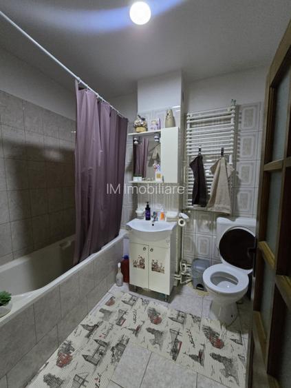 Utvin-Central-Vila S+P+E+M-360mp-2 accese-Garaj - 17