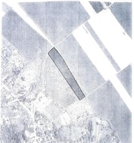 Teren Gruiu Snagov investitie vile REDUCERE - 5