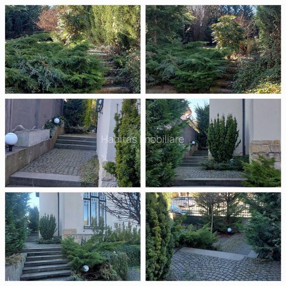 Apartament în vilă, Andrei Muresanu, 100 mp cu terasă și grădină - 3