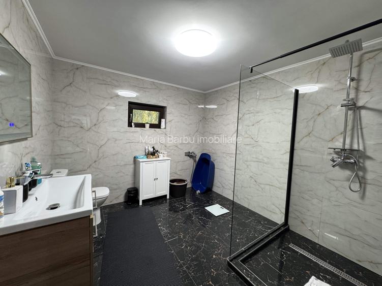 Vila P+M,GARAJ, T=741 mp,D=28m,an 2019,zona centrala-Palat de Justitie - 18