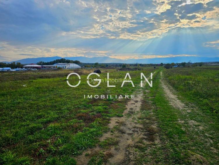 Teren Selimbar-DN1, comercial/industrial, COMISION 0% - 3