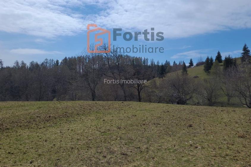 Teren zona de interes turistic 12 000 mp - 4