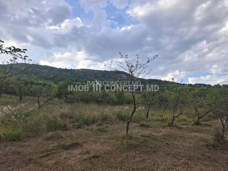 Teren spectaculos cu padure, livada si priveliste panoramica in Soimari PH - 18
