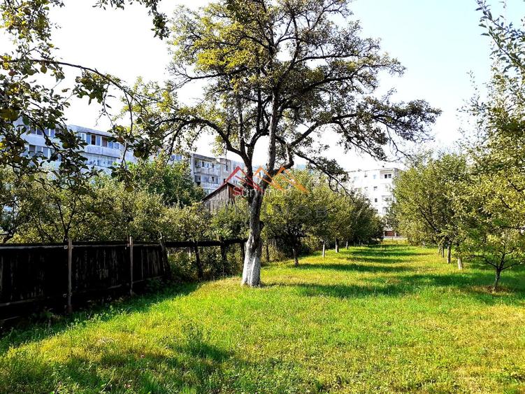 Casa 3 camere, teren 3625 mp, toate utilitatile, Sacele, Brasov - 7