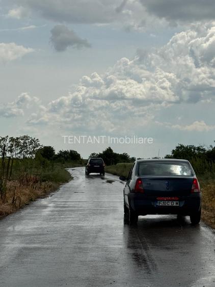 Vanzare Teren  intravilan 8000mp Adunati Copaceni Giurgiu - 5