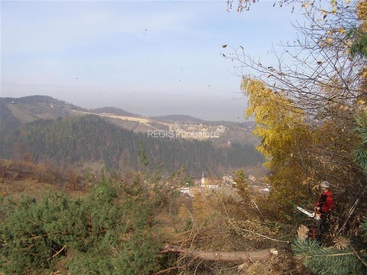 Teren arabil intravilan , priveliste mirifica , zona Schei - 12