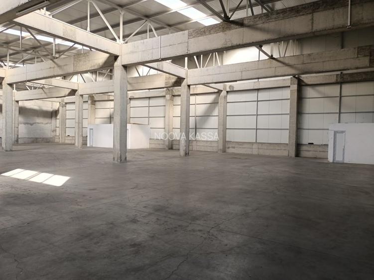 Zona Industriala-hala 1400 mp - 4