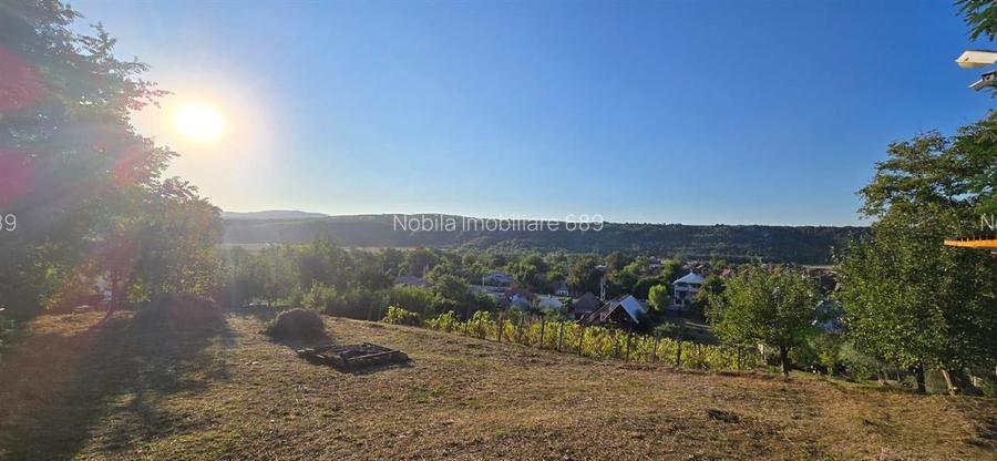 Teren intravilan + extravilan 10.537 mp – casa, livada sau ferma de familie - 10