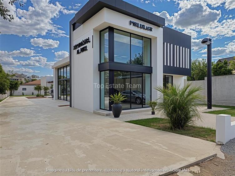 Hala Premium / Stradala de inchiriat in Bragadiru - 4