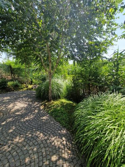 Proprietar inchiriez ap.2 cam. cu loc de parcare Pipera-Waterfront Residence - 11