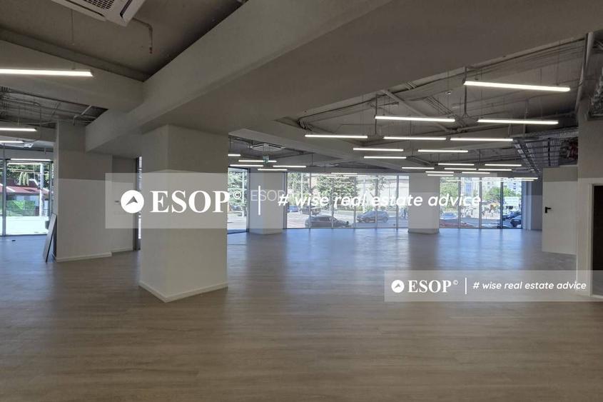 Cladire de birouri de vanzare, zona Victoriei, 9750 mp, ID 1245.99 - 4