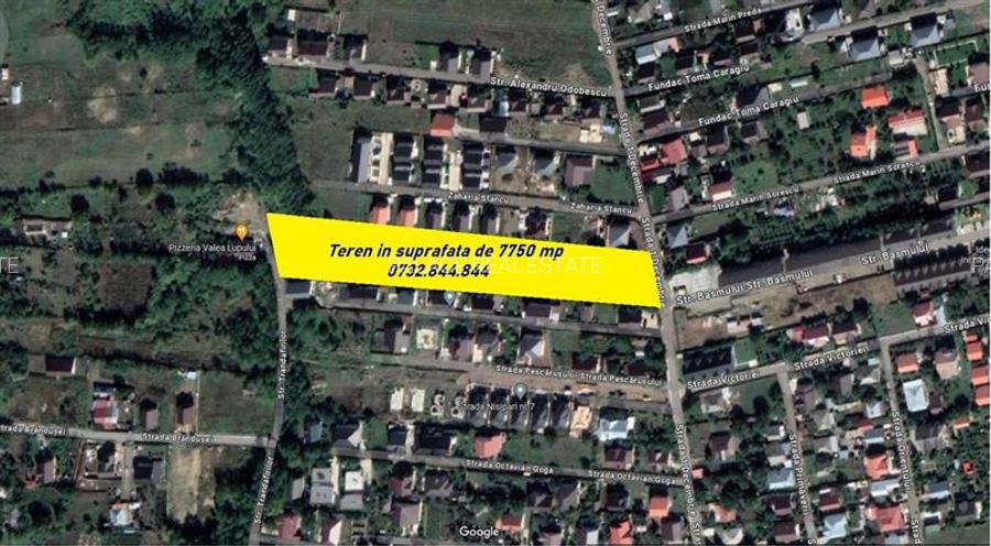 Exclusivitate! Teren 7750 mp Valea Lupului 1 Decembrie - 4