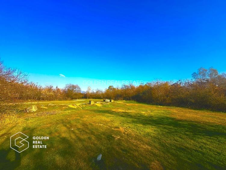 Teren intravilan 71.000mp, Barsa, Renumita Fabrica de caramida si casa 4 camere - 5