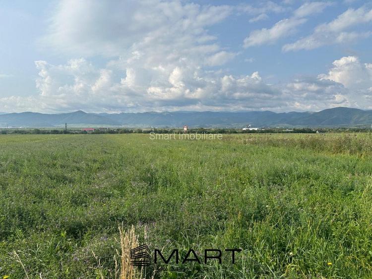 Teren extravilan 4800mp acces auto, Cristian - 2