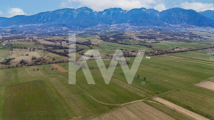 Teren intravilan – Zarnești, Zona Penny | 25 Euro/ mp - 4
